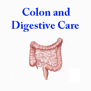Colon/Digestion